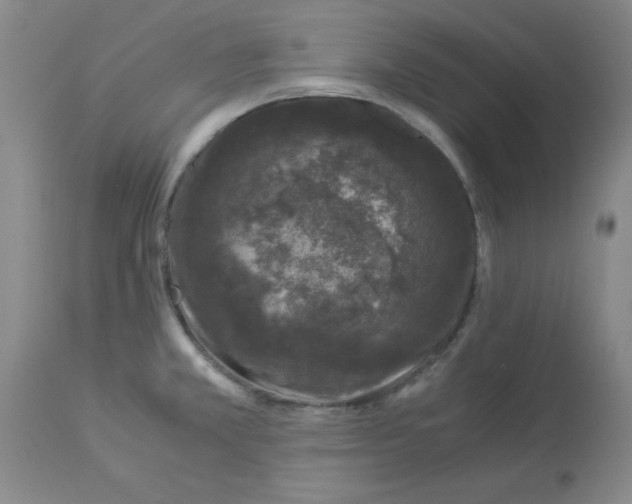 X0000112881381200909181838