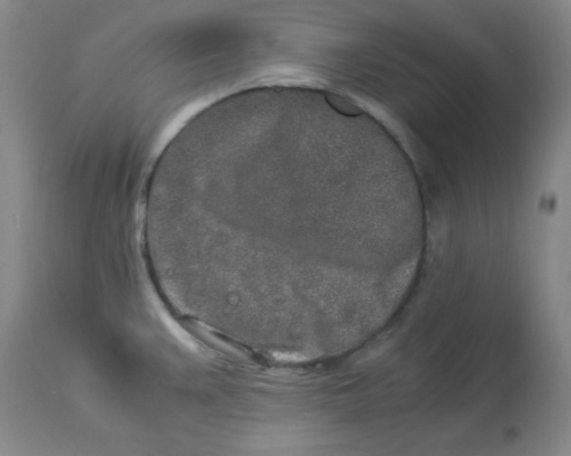 X0000112881383200909181838