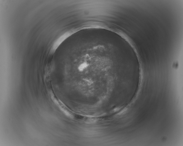 X0000112881385200909181838