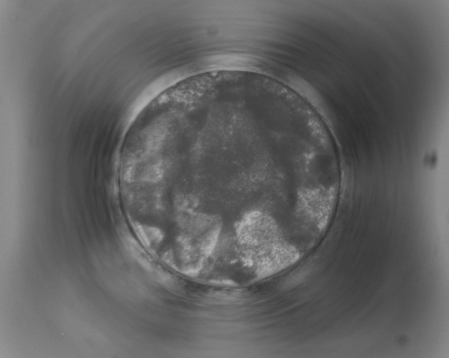 X0000112881386200909181838