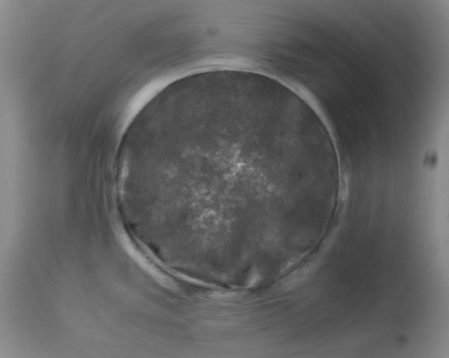 X0000112881389200909181838