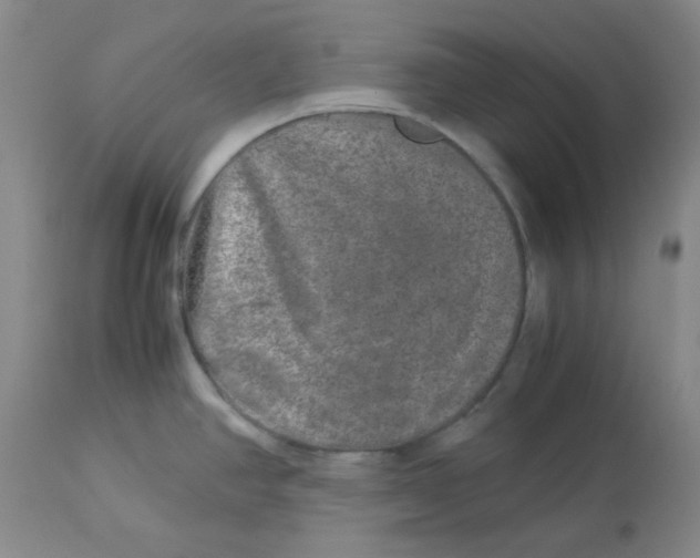 X0000112881390200909181838