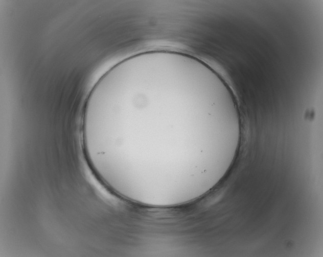 X0000112881391200909181838