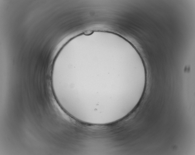 X0000112881392200909181838