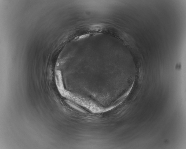 X0000112881394200909181837