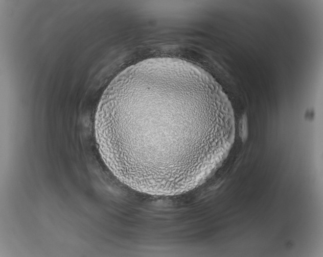 X0000112881395200909181837