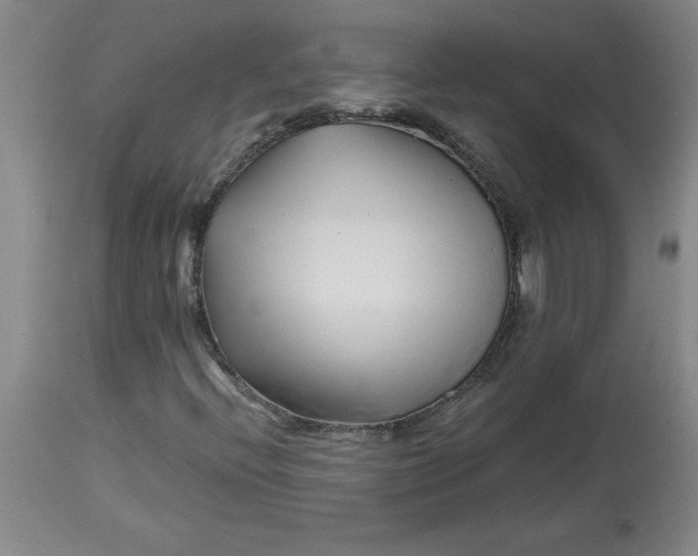 X0000112881396200909181837