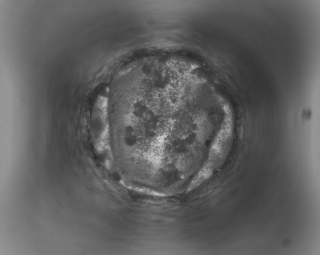 X0000112881397200909181837