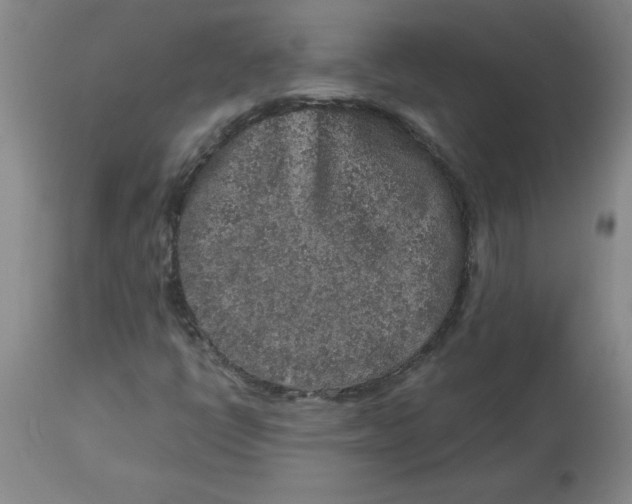 X0000112881398200909181837