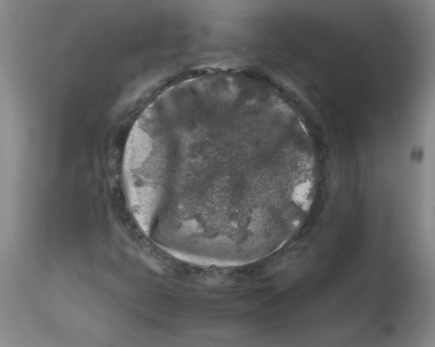 X0000112881399200909181837