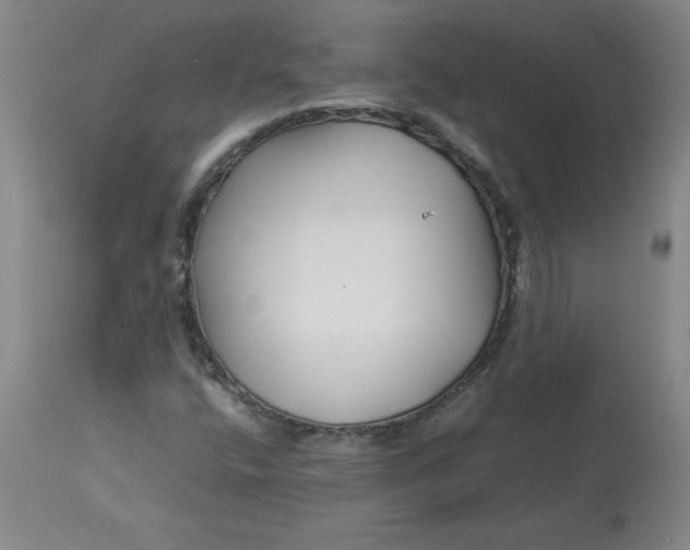 X0000112881400200909181837