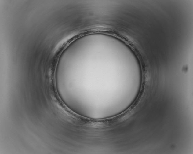 X0000112881402200909181837