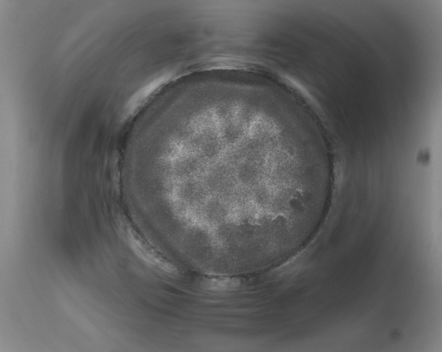 X0000112881403200909181837