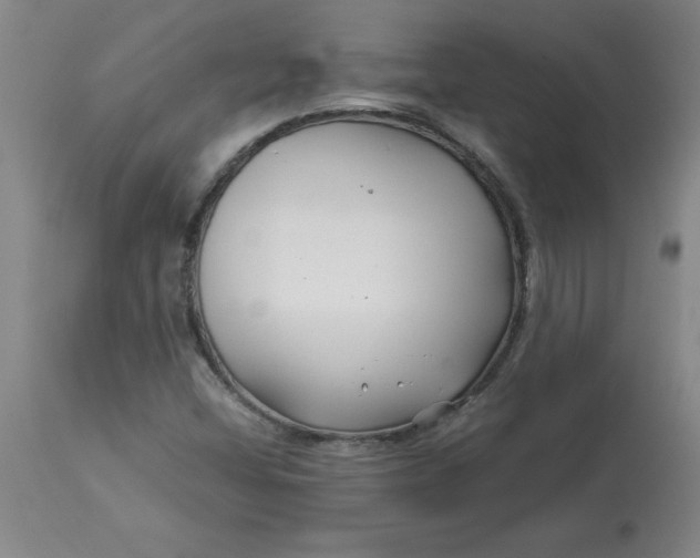 X0000112881404200909181837