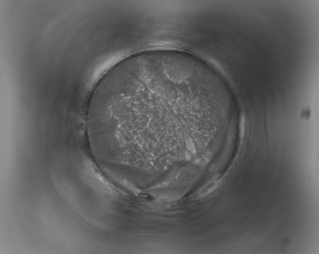 X0000112881405200909181837