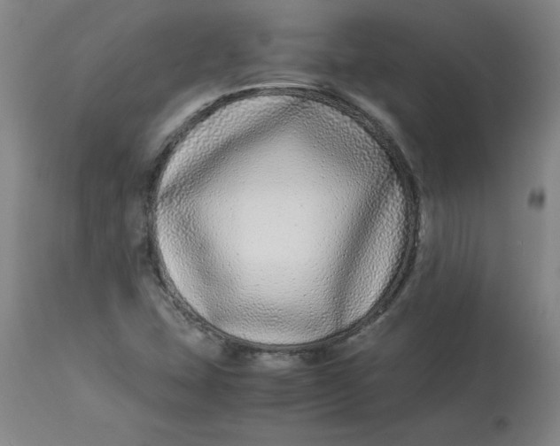 X0000112881407200909181837