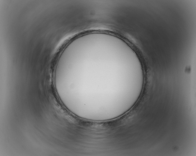 X0000112881408200909181837