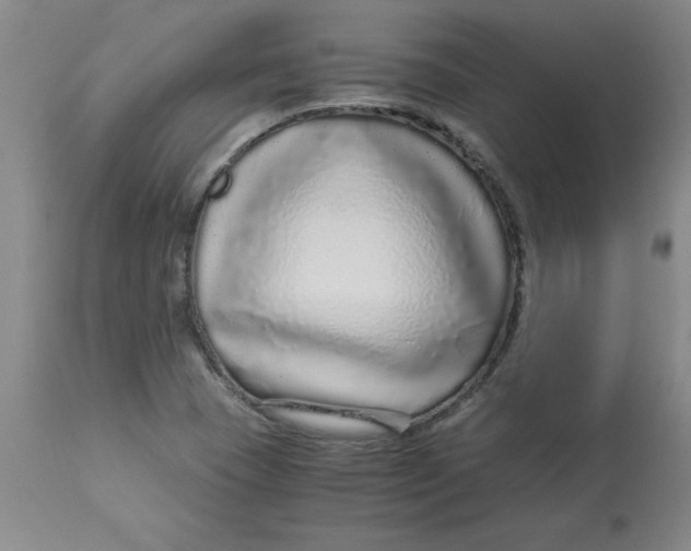 X0000112881409200909181837