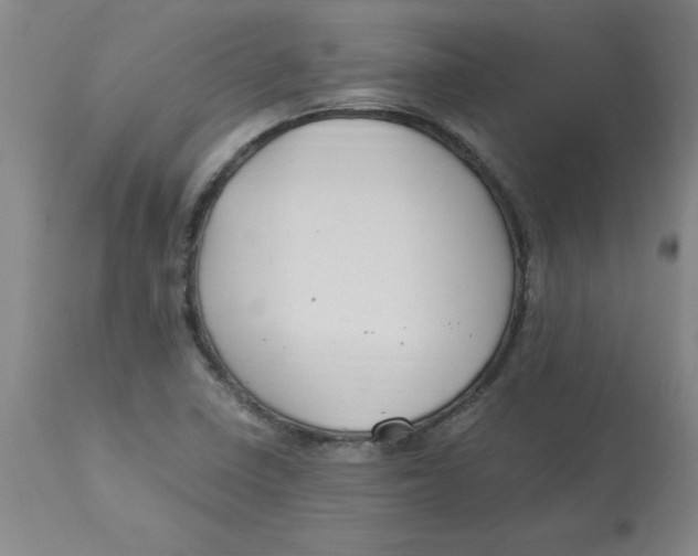 X0000112881410200909181837