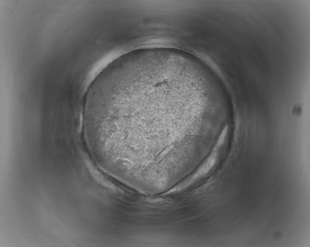 X0000112881413200909181837