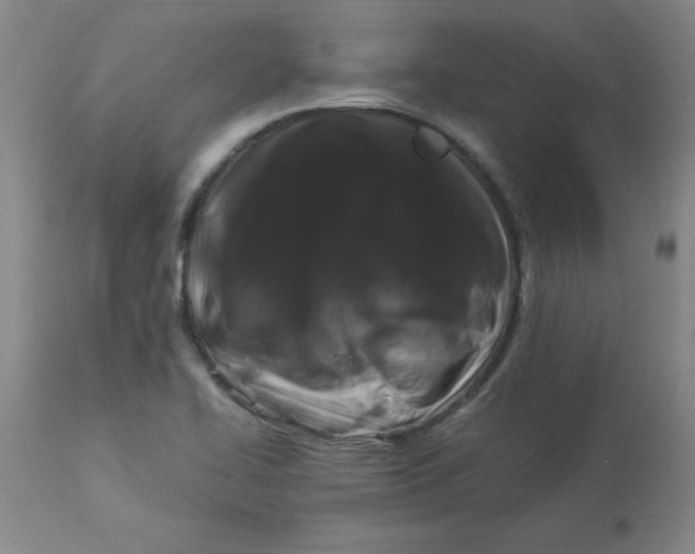 X0000112881414200909181837