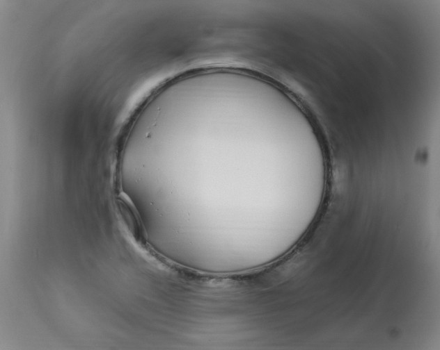 X0000112881416200909181838