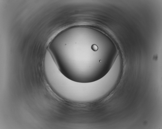 X0000112881417200909181838