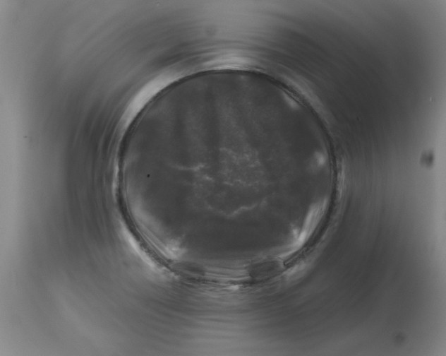 X0000112881418200909181838