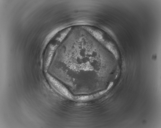 X0000112881419200909181838