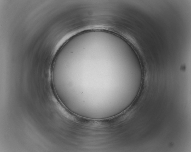 X0000112881420200909181838