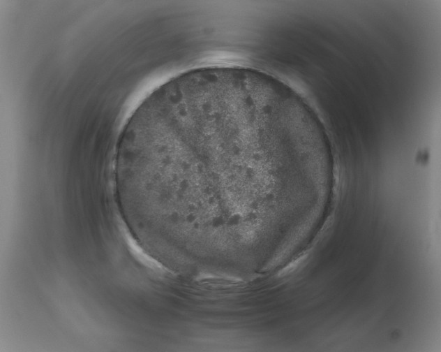 X0000112881421200909181838