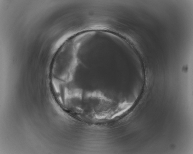 X0000112881422200909181838