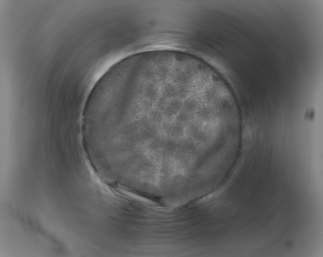 X0000112881423200909181838