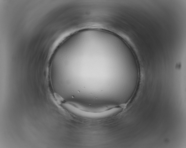 X0000112881424200909181838