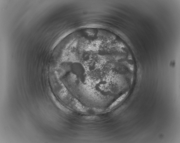 X0000112881425200909181838