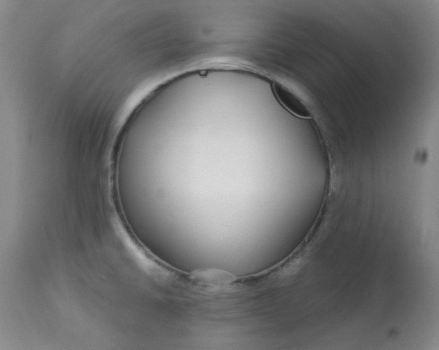 X0000112881430200909181838