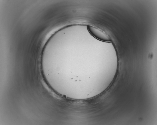 X0000112881432200909181838