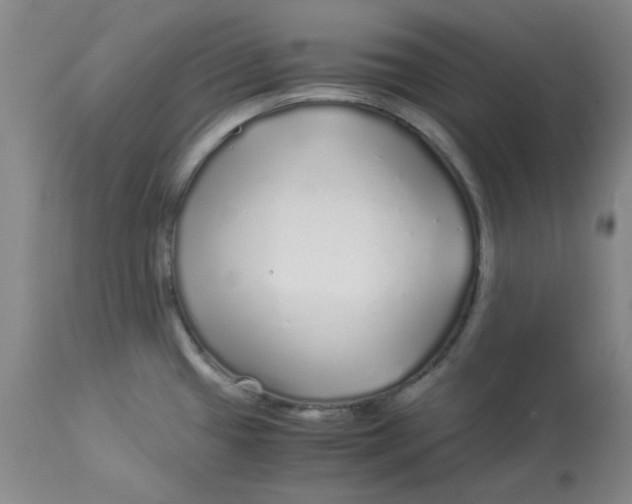 X0000112881433200909181838