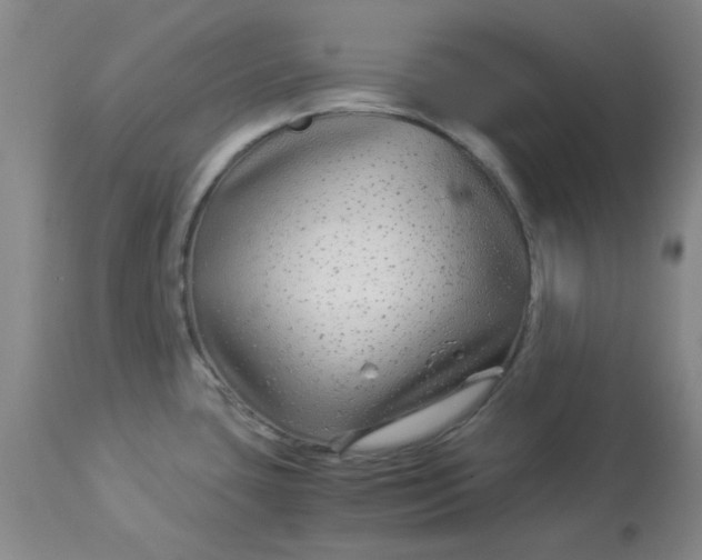 X0000112881435200909181838