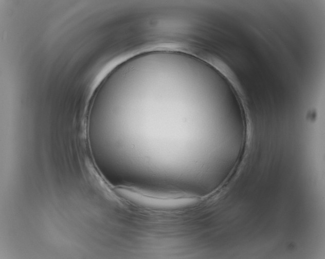 X0000112881436200909181838