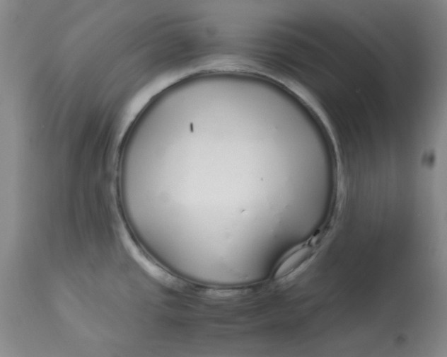 X0000112881437200909181838