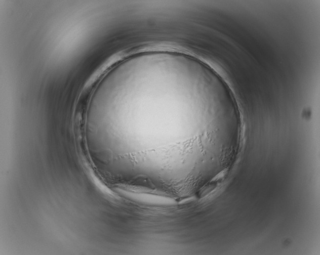 X0000112881438200909181838