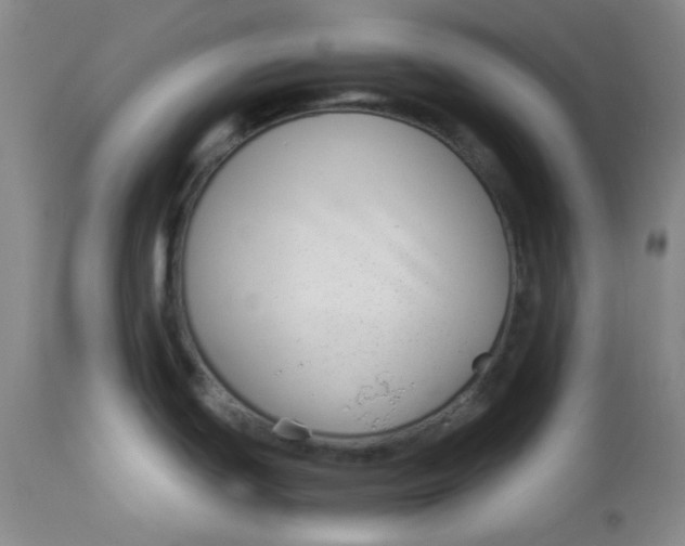 X0000112881439200909181838