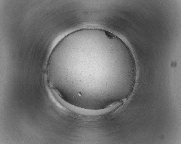 X0000112881440200909181838