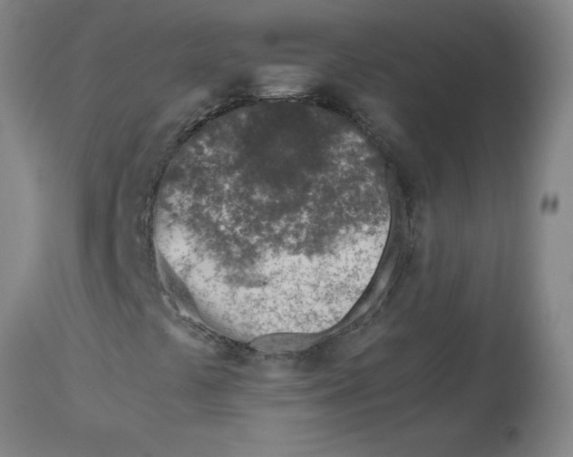 X0000112881441200909181837