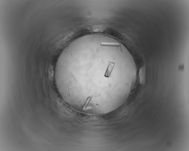 X0000112881443200909181837
