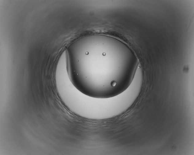 X0000112881444200909181837