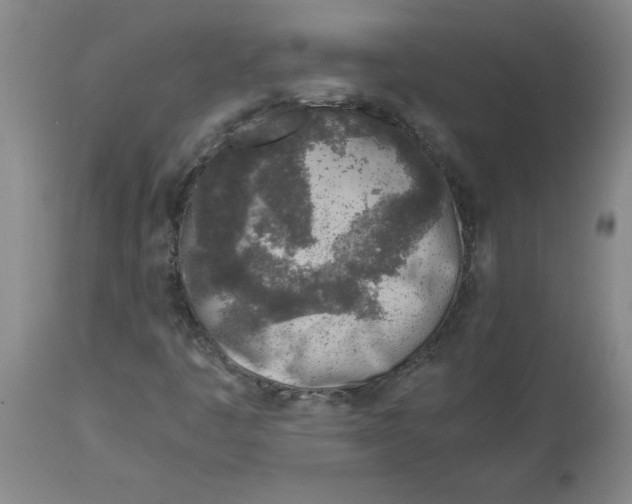 X0000112881445200909181837