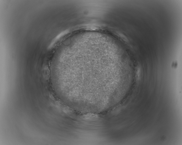 X0000112881446200909181837