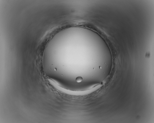 X0000112881447200909181837